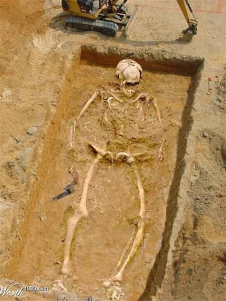 Macabre human remains found at the house of Russian Vladimir Cheskidov
